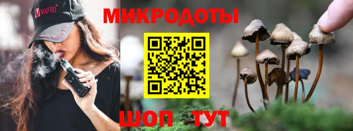 Псилоцибиновые грибы GOLDEN TEACHER Старая Купавна